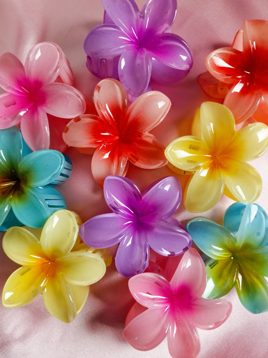 Haarklammer "Summer Breeze"